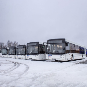 Отгрузка автобусов МАЗ 203